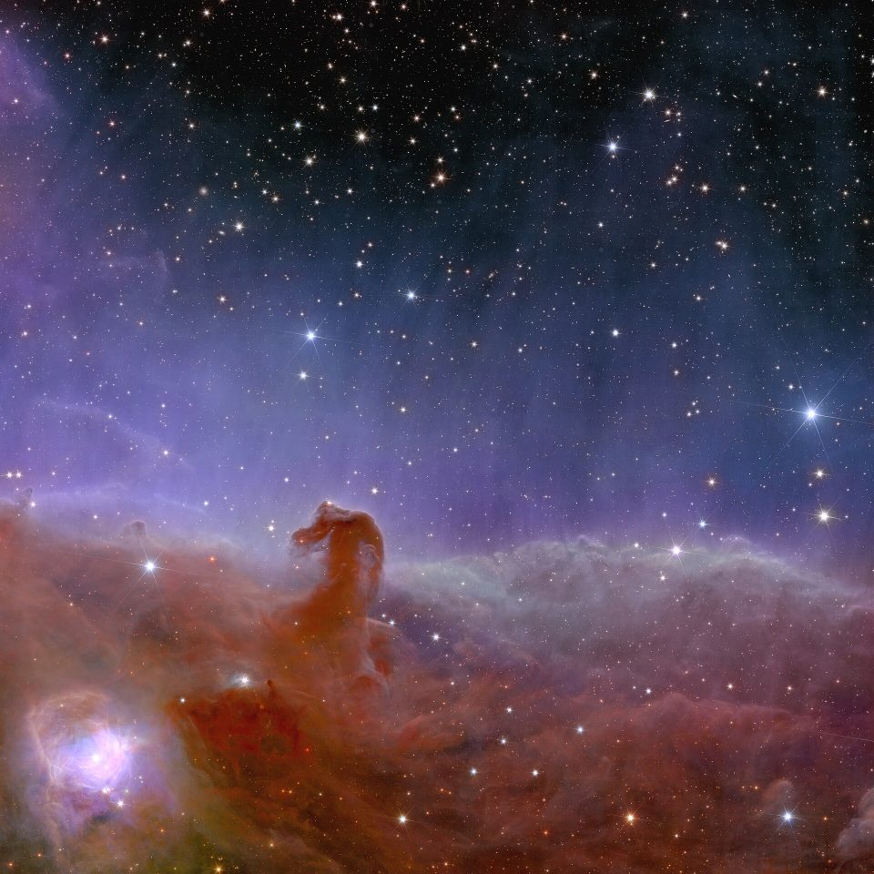 Euclid’s view of the Horsehead Nebula ESA25170866