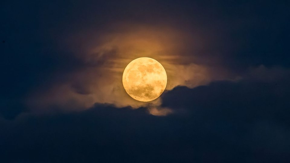 La Luna de las Flores de 2026: El espectáculo lunar más esperado del año